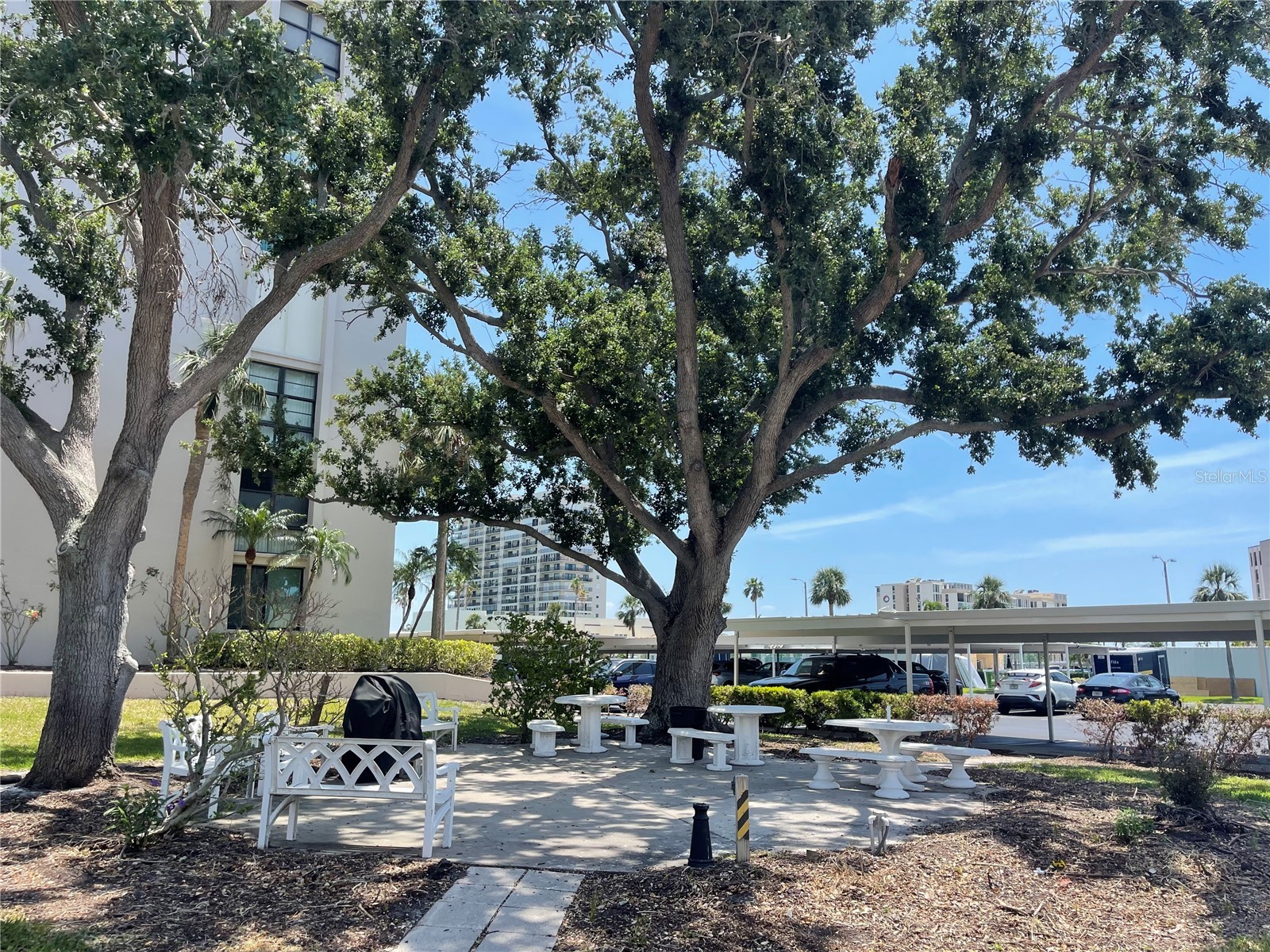 7910 Sun Island Drive S #203 South Pasadena FL 33707 - BOCA CIEGA TB8463883 image6