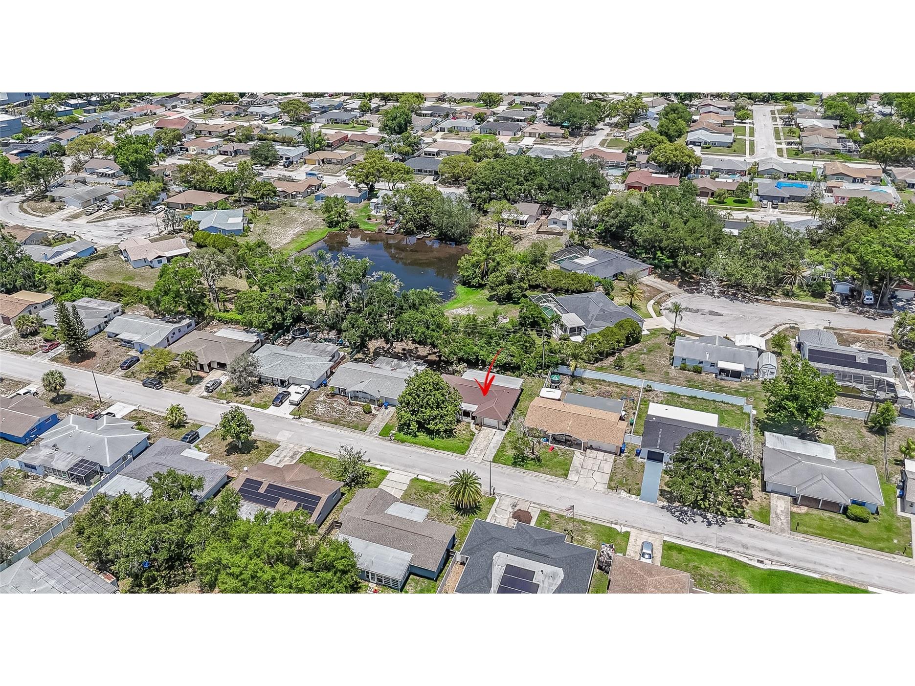 7911 Foxwood Drive New Port Richey FL 34653 TB8511662 image25