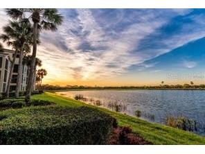 7911 Grand Estuary Trail #103 Bradenton FL 34212 A4570604 image13