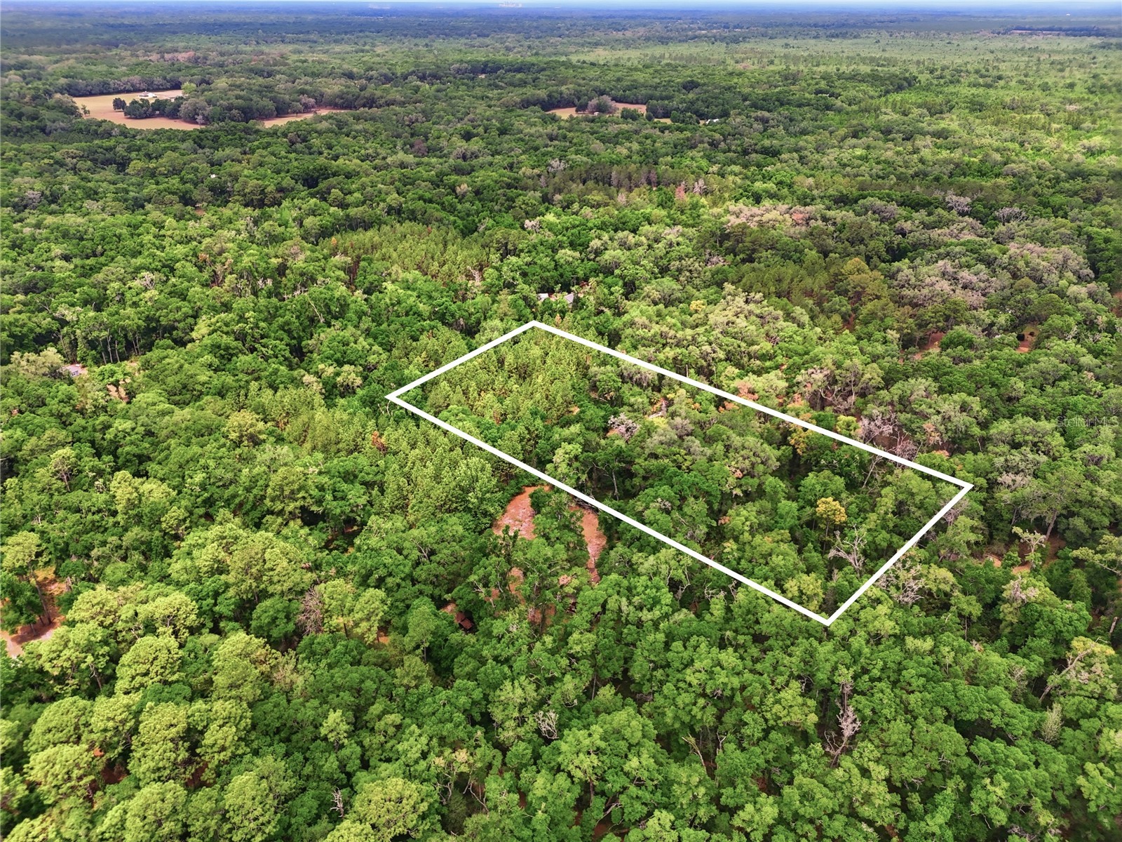 7911 SW 131st Terrace Archer FL 32618 GC539538 image4