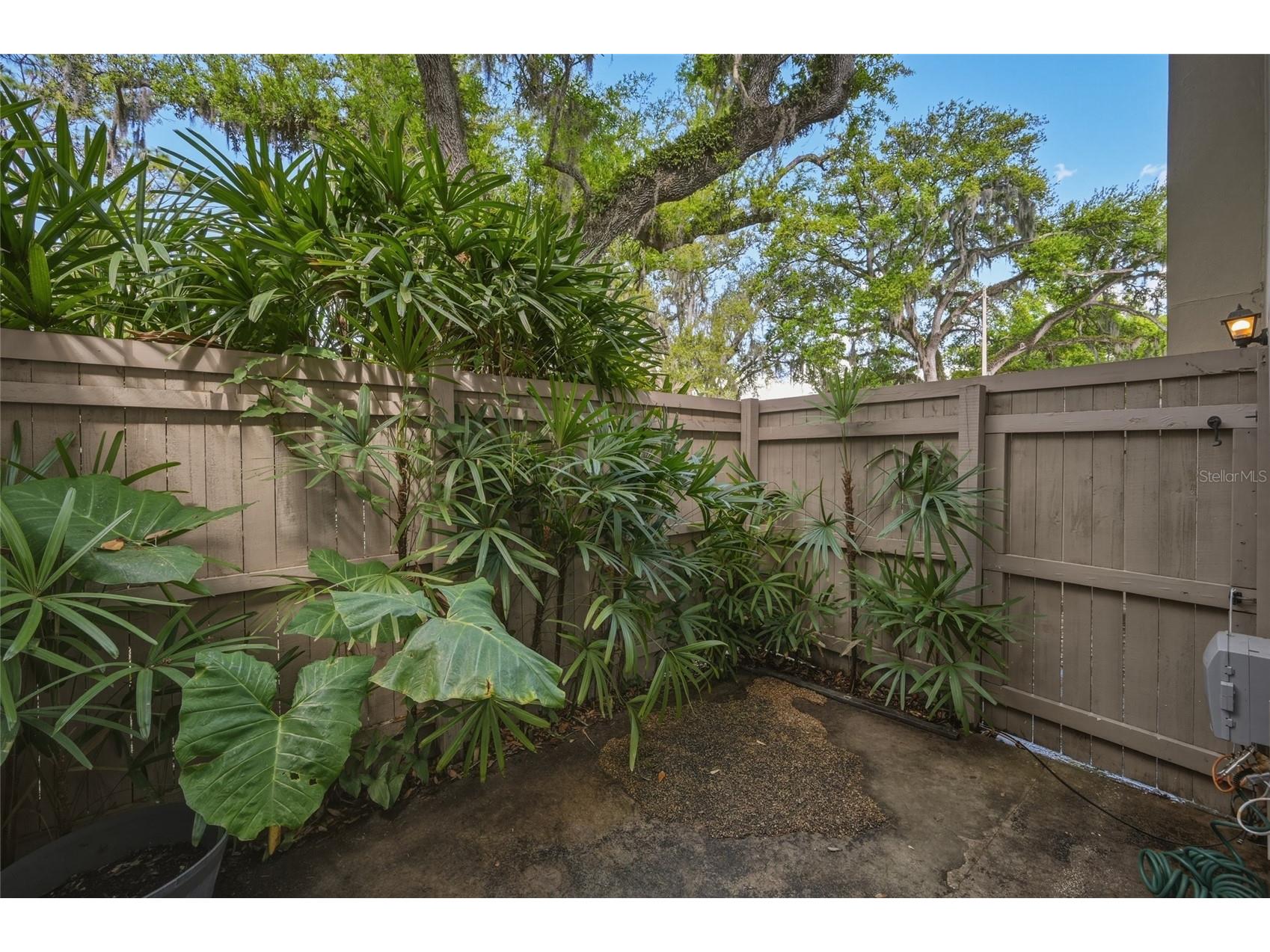 7912 Cedar Drive #7912 Temple Terrace FL 33637 TB8487929 image25