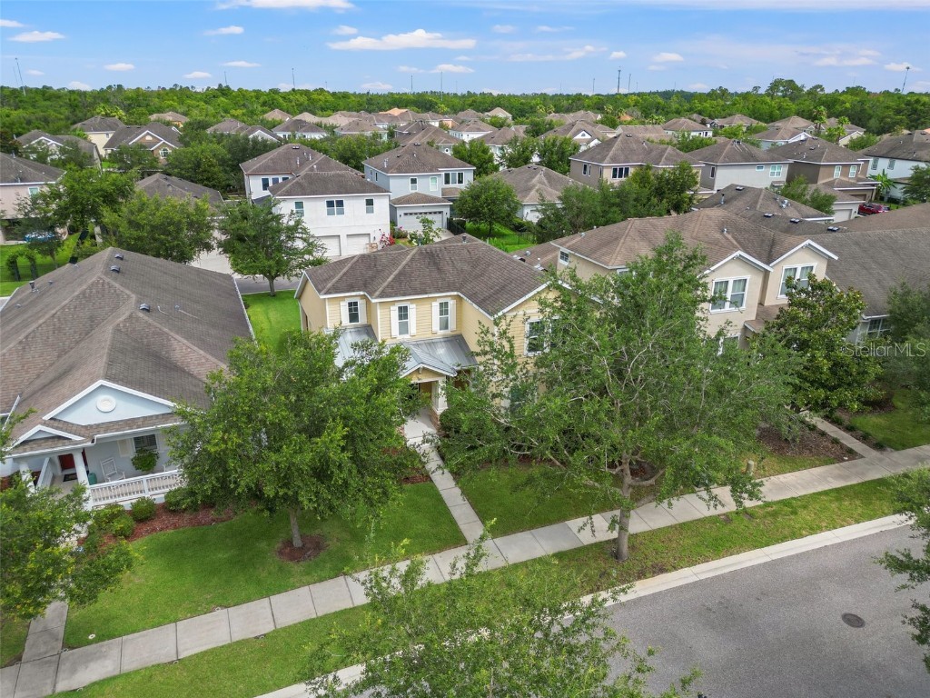 7912 Hampton Lake Drive Tampa FL 33647 U8204216 image1