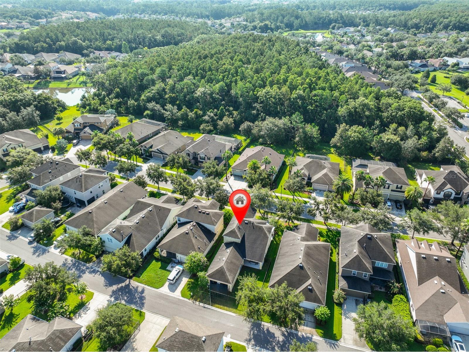 7912 Hampton Lake Drive Tampa FL 33647 TB8528798 image35