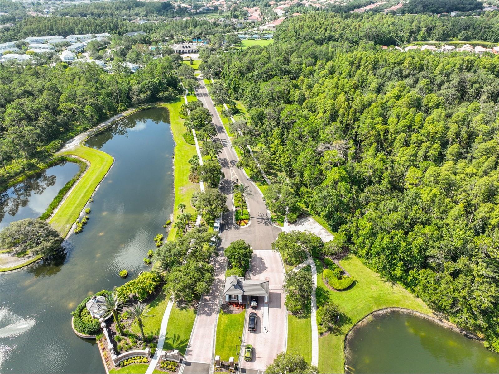 7912 Hampton Lake Drive Tampa FL 33647 TB8528798 image37