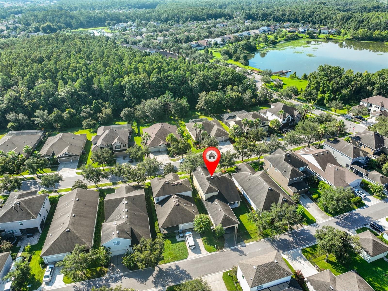 7912 Hampton Lake Drive Tampa FL 33647 TB8528798 image4