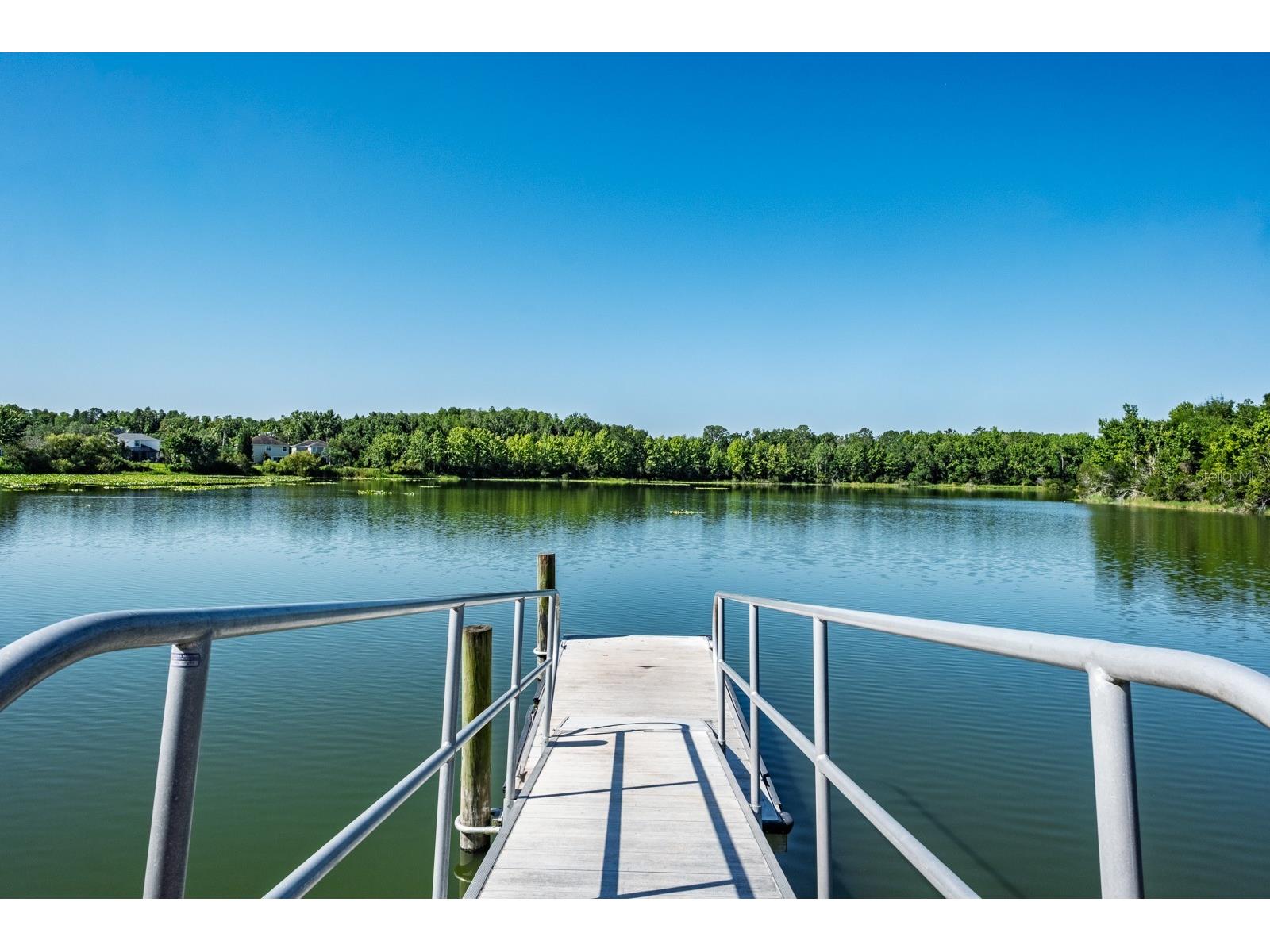 7912 Hampton Lake Drive Tampa FL 33647 TB8528798 image47