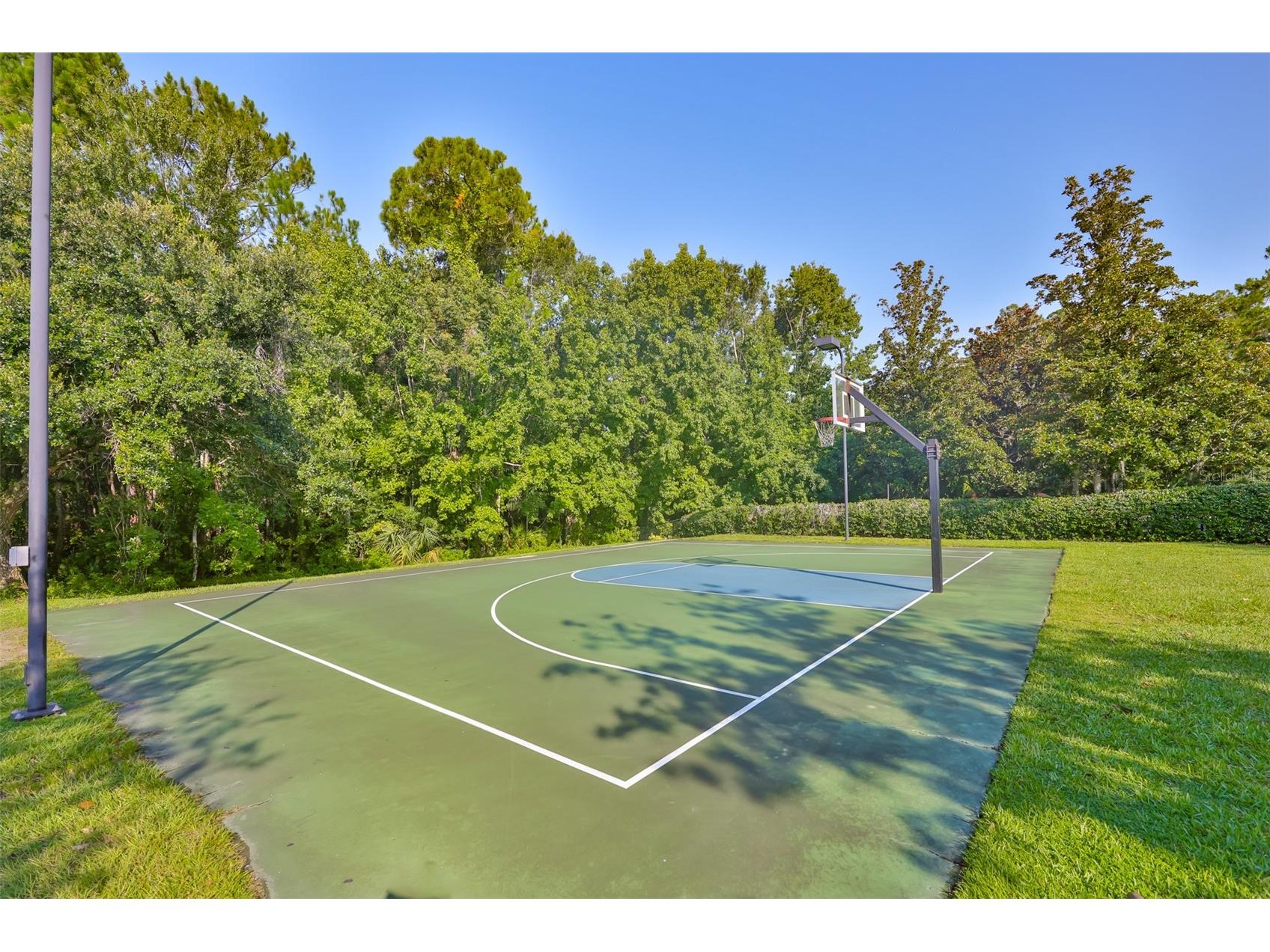 7912 Hampton Lake Drive Tampa FL 33647 TB8528798 image52