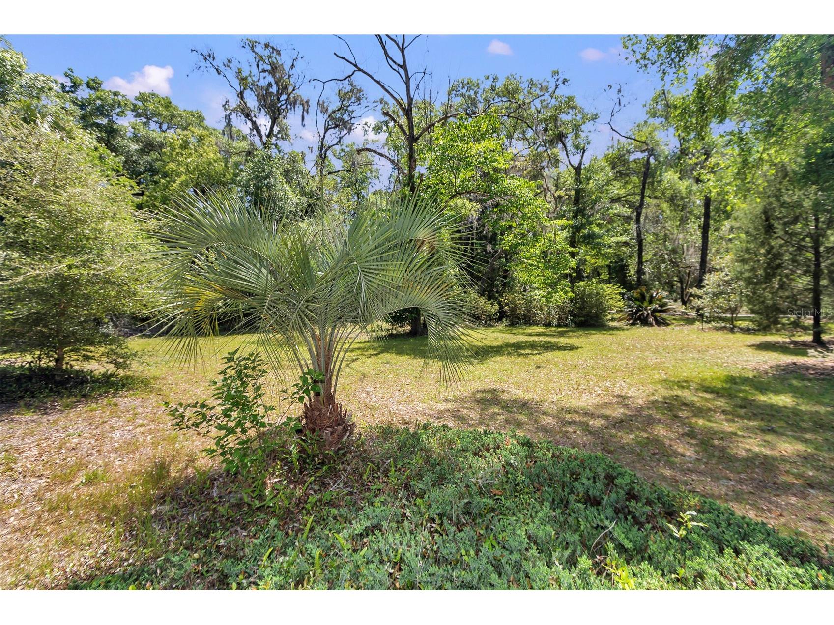 7912 SW 186th Circle Dunnellon FL 34432 OM722827 image36