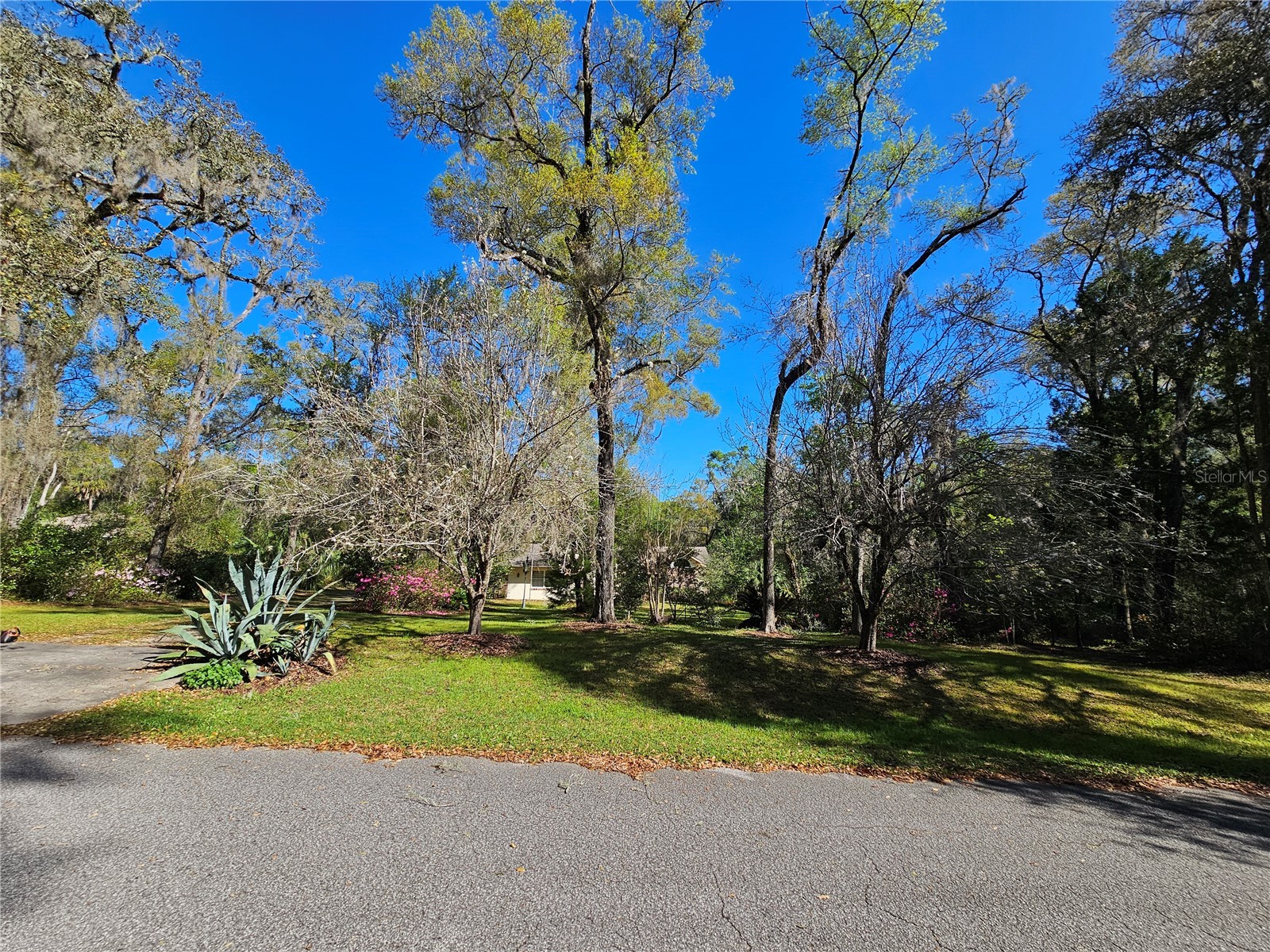 7912 SW 186th Circle Dunnellon FL 34432 OM722827 image45