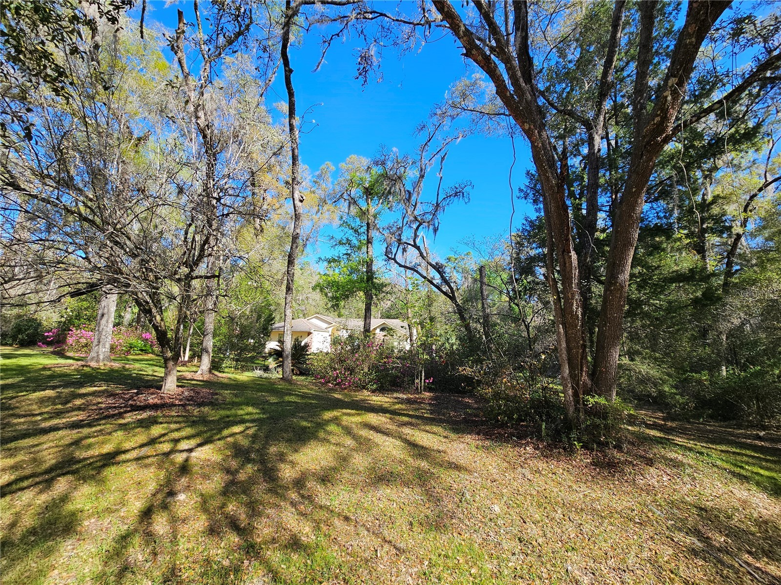 7912 SW 186th Circle Dunnellon FL 34432 OM722827 image46