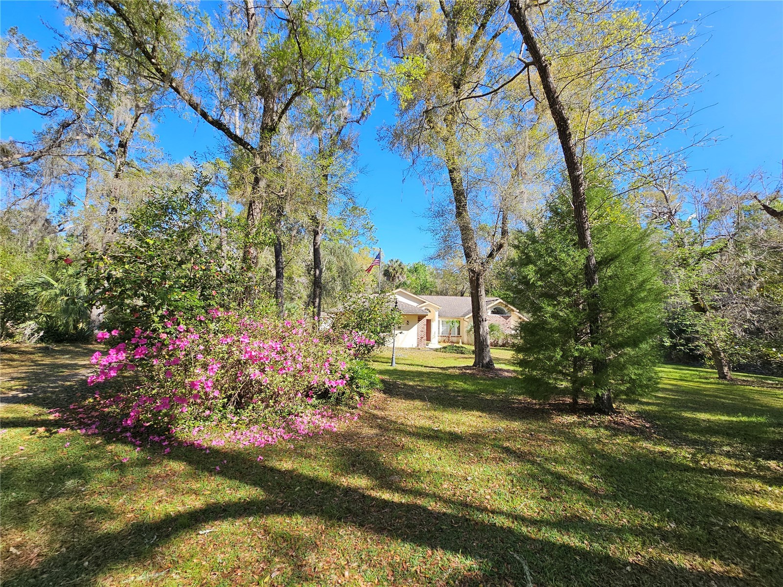 7912 SW 186th Circle Dunnellon FL 34432 OM722827 image47