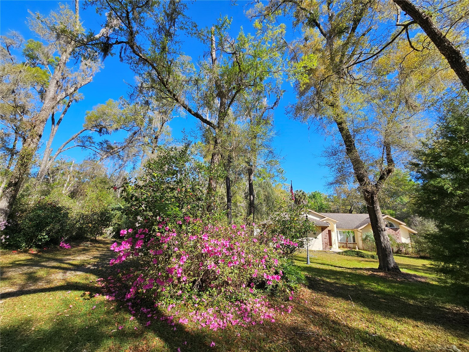 7912 SW 186th Circle Dunnellon FL 34432 OM722827 image51