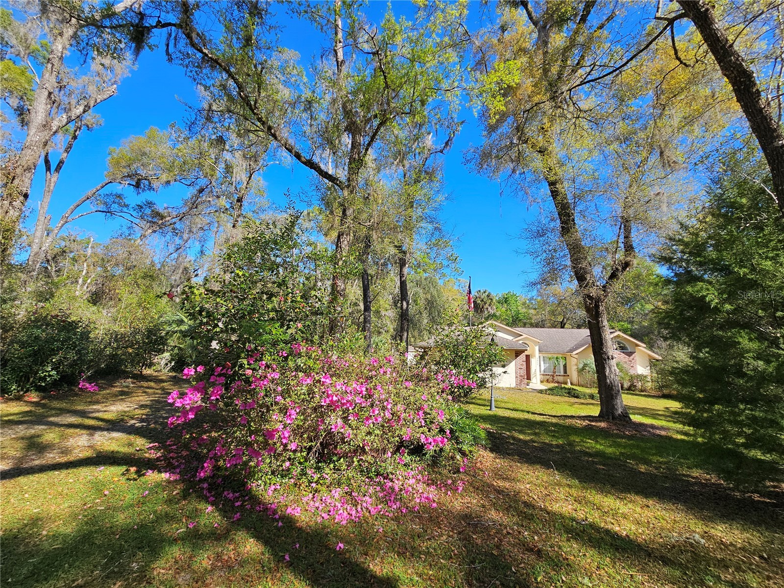 7912 SW 186th Circle Dunnellon FL 34432 OM722827 image52