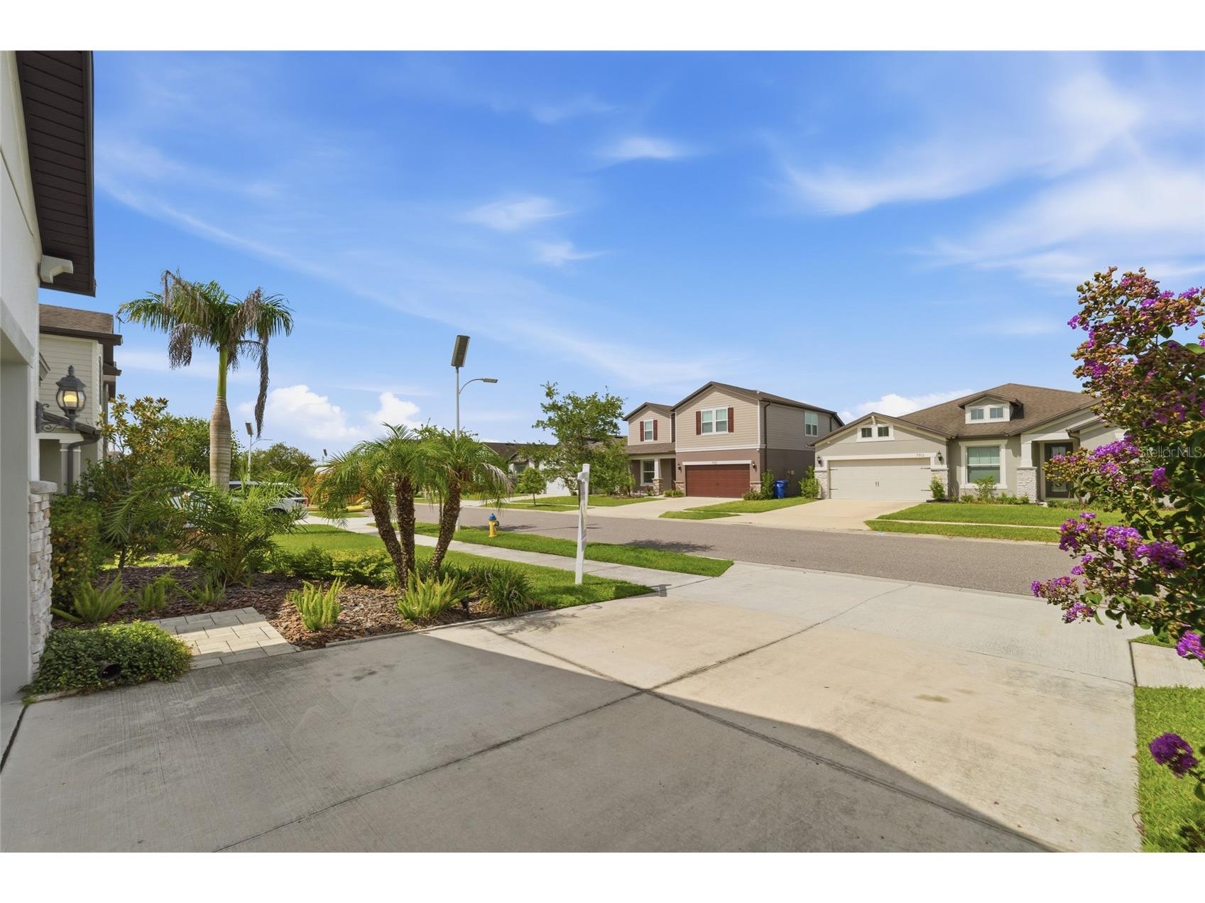 7912 Yale Harbor Drive Wesley Chapel FL 33545 TB8525758 image33