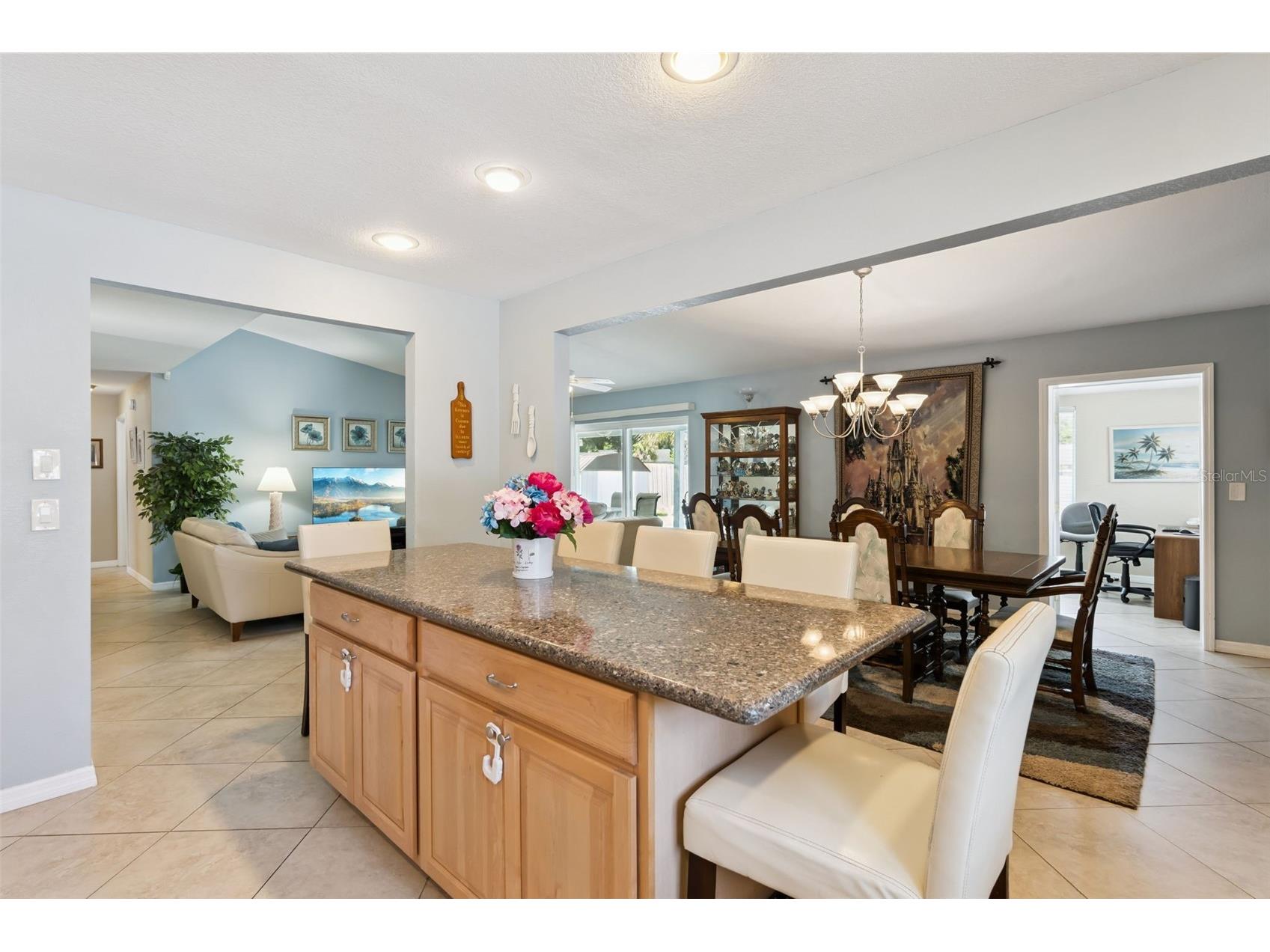 7914 Clubhouse Estates Drive Orlando FL 32819 O6418139 image12