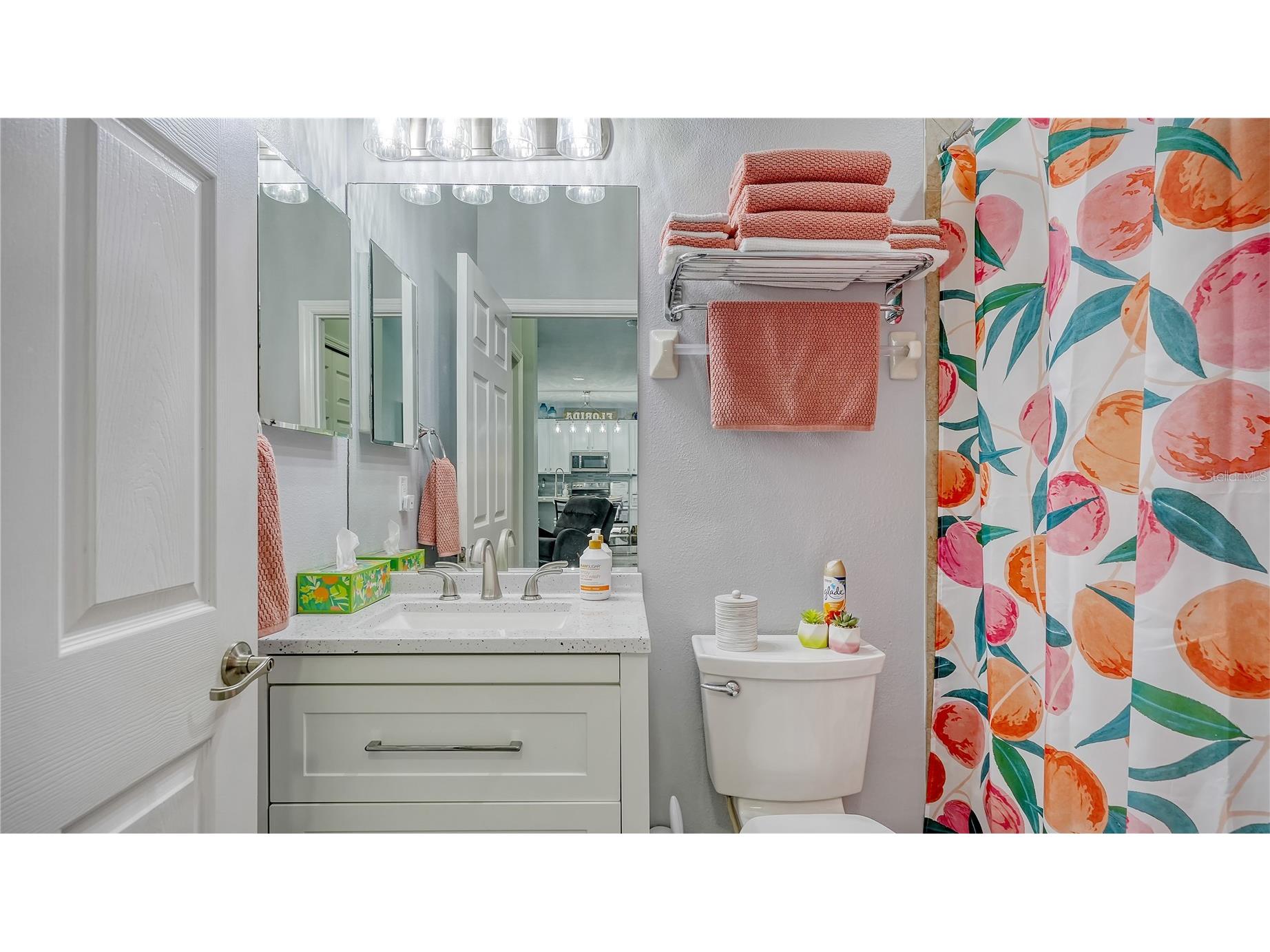 7915 115th Avenue E Parrish FL 34219 A4656249 image19