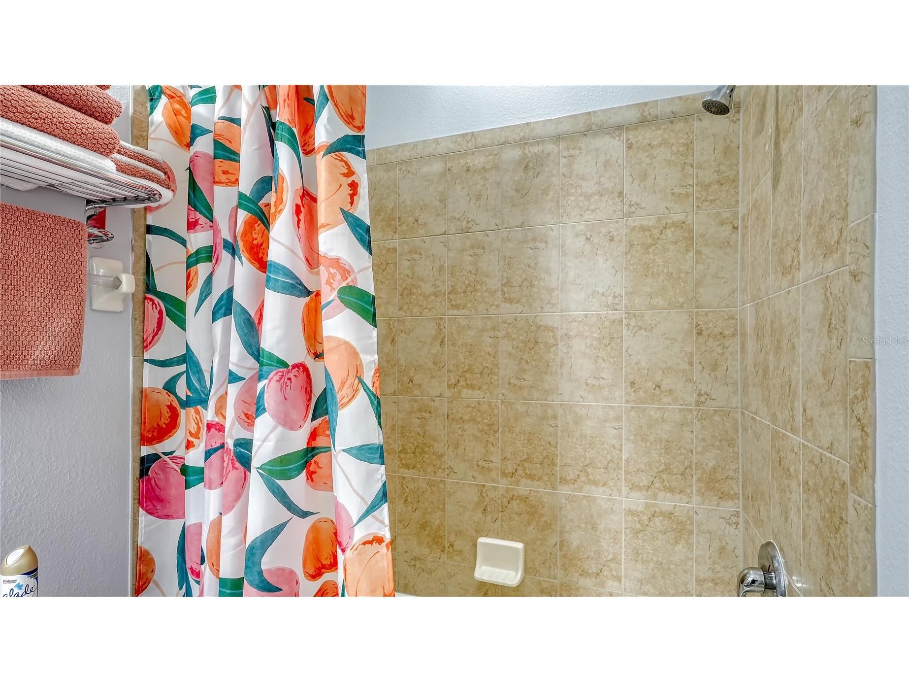 7915 115th Avenue E Parrish FL 34219 A4656249 image20