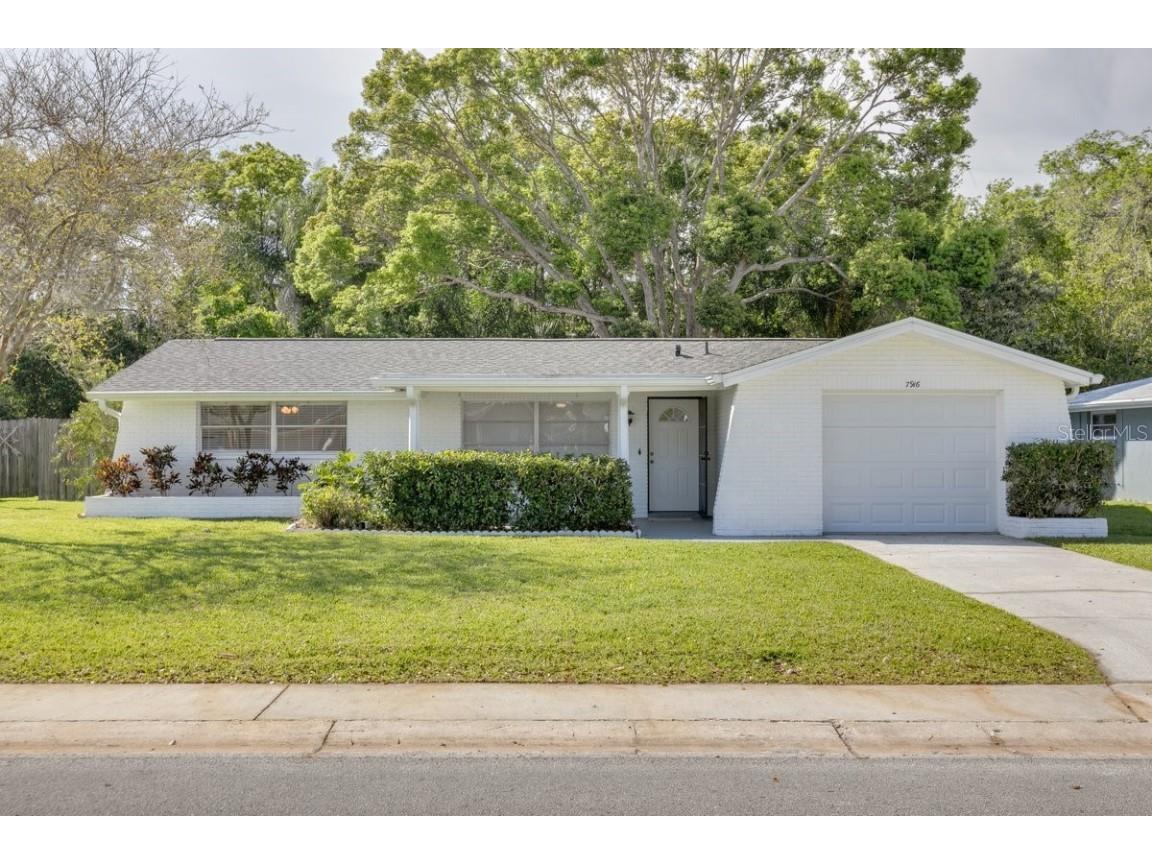7916 Yucca Drive New Port Richey FL 34653 U8157073 image1