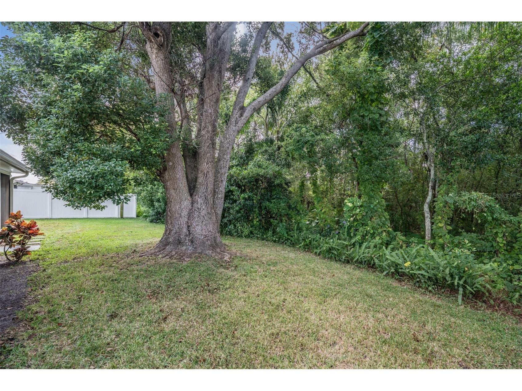 7916 Yucca Drive New Port Richey FL 34653 TB8495240 image22
