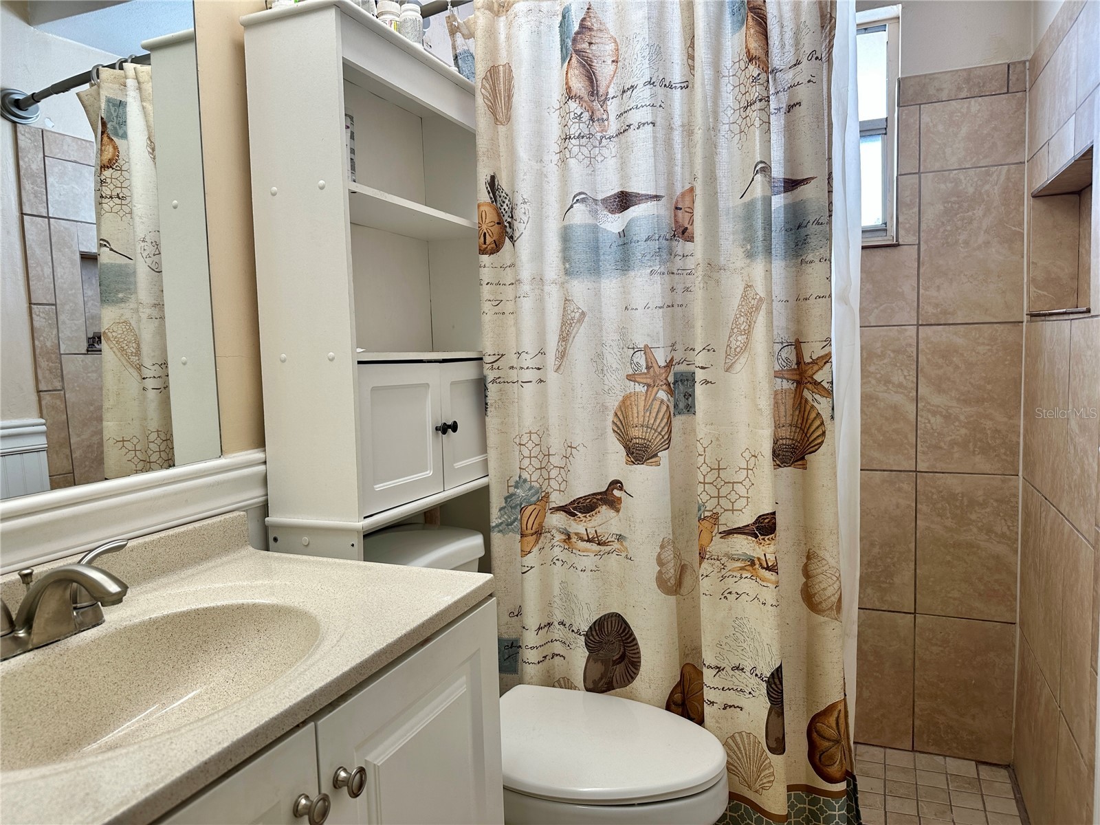 7917 Foxwood Drive New Port Richey FL 34653 TB8516572 image17