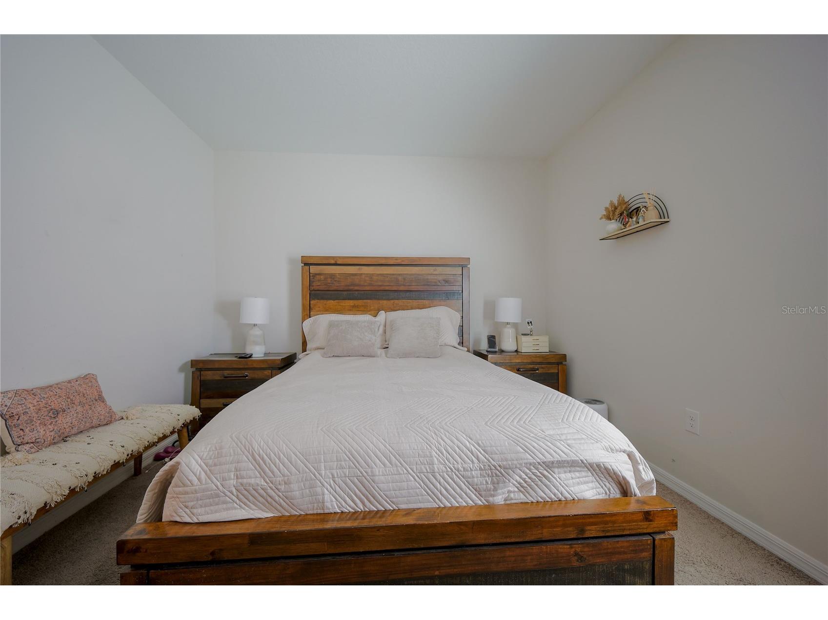 7917 Peace Lily Avenue Wesley Chapel FL 33545 S5153144 image16