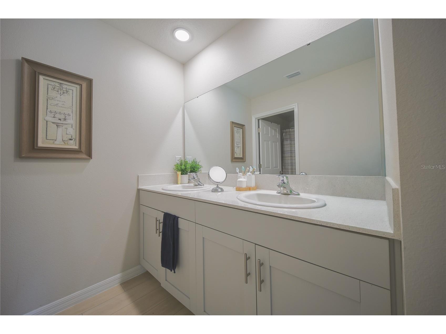 7917 Peace Lily Avenue Wesley Chapel FL 33545 S5153144 image18