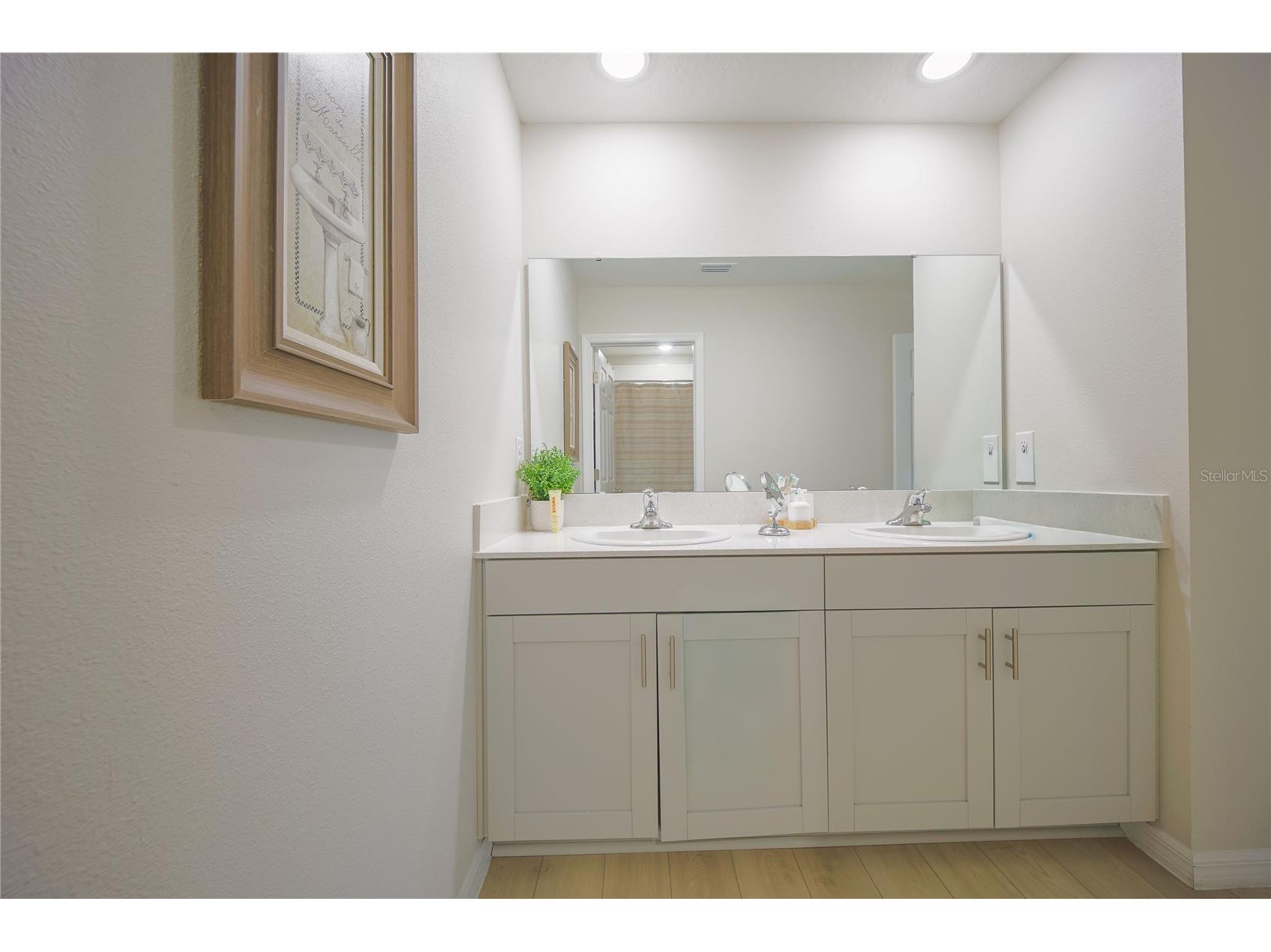 7917 Peace Lily Avenue Wesley Chapel FL 33545 S5153144 image19