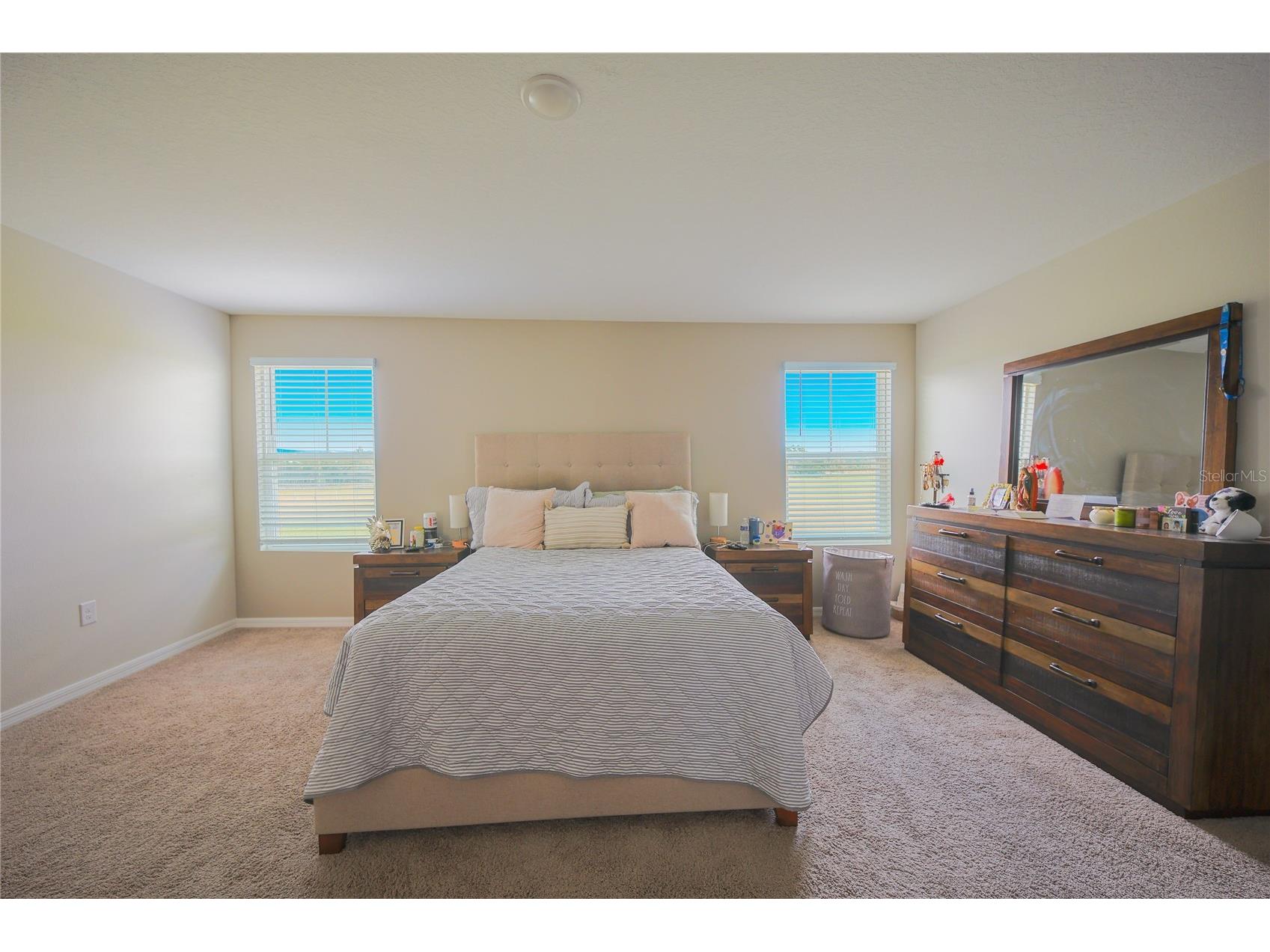 7917 Peace Lily Avenue Wesley Chapel FL 33545 S5153144 image24