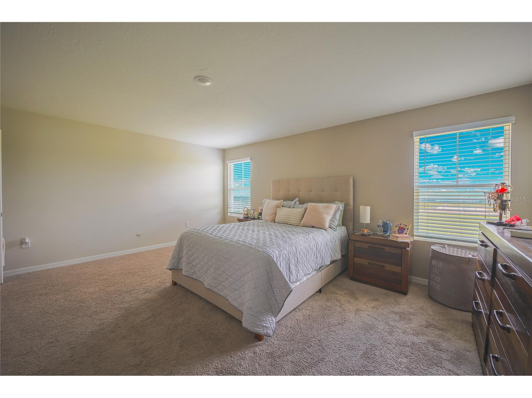 7917 Peace Lily Avenue Wesley Chapel FL 33545 S5153144 image25