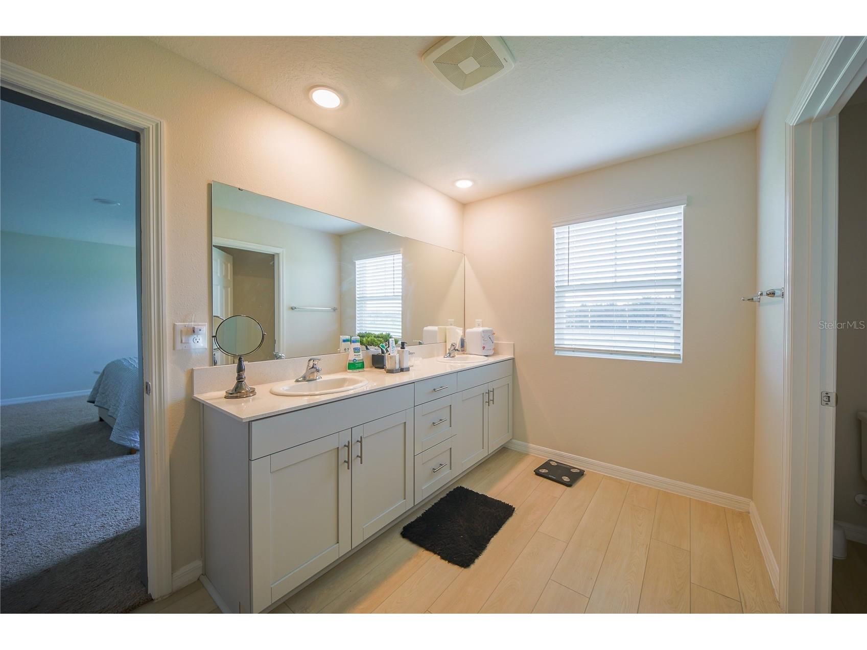 7917 Peace Lily Avenue Wesley Chapel FL 33545 S5153144 image26