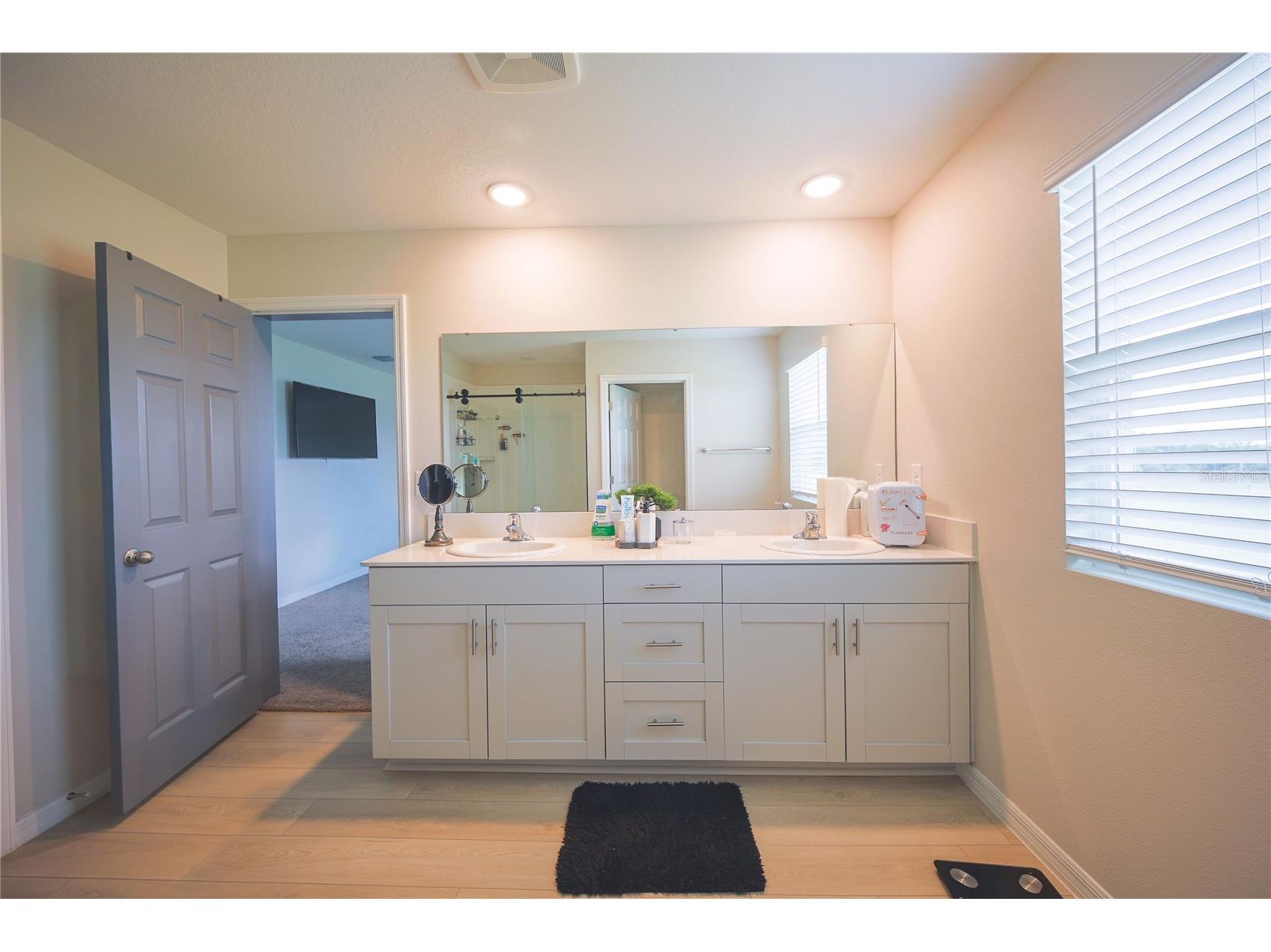 7917 Peace Lily Avenue Wesley Chapel FL 33545 S5153144 image27