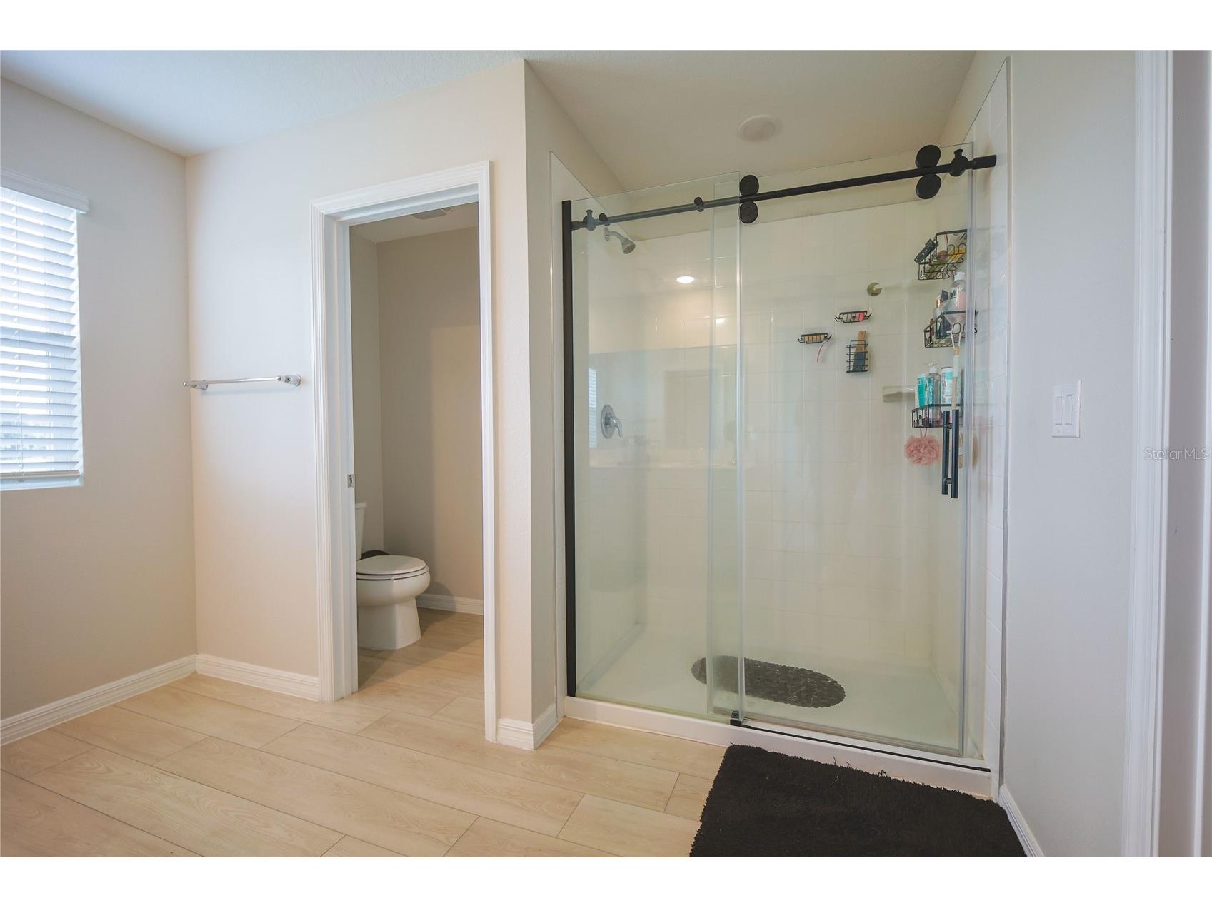 7917 Peace Lily Avenue Wesley Chapel FL 33545 S5153144 image28