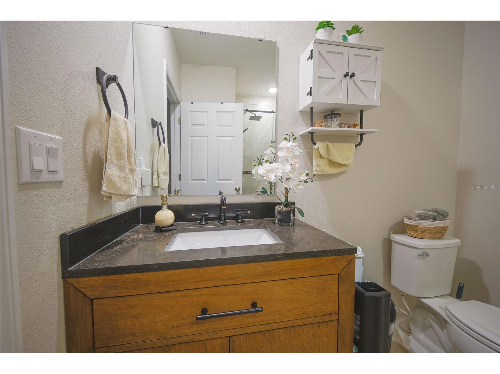 7917 Peace Lily Avenue Wesley Chapel FL 33545 S5153144 image33