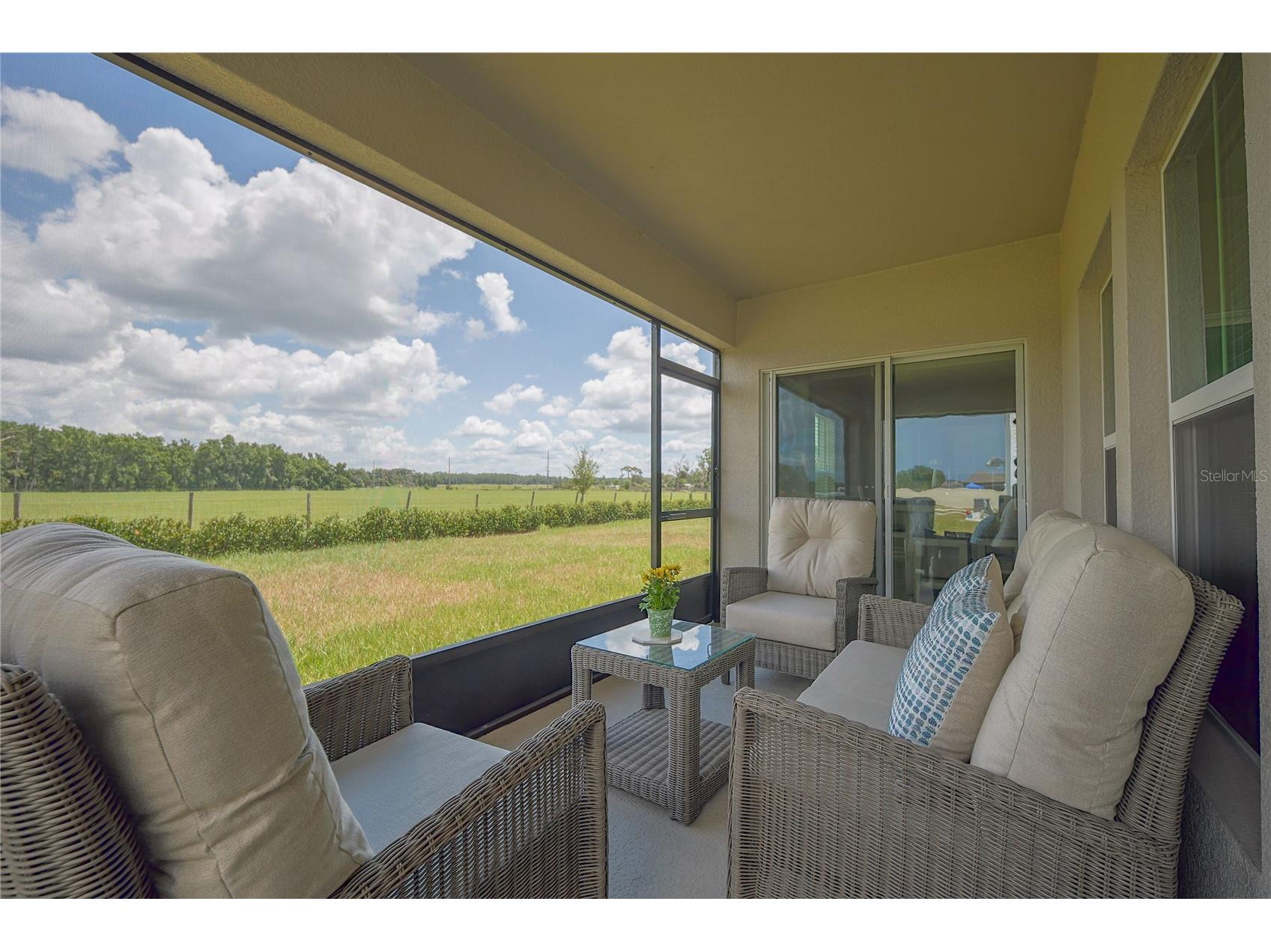 7917 Peace Lily Avenue Wesley Chapel FL 33545 S5153144 image38