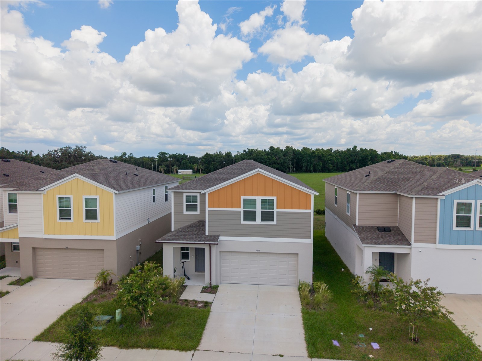 7917 Peace Lily Avenue Wesley Chapel FL 33545 S5153144 image4