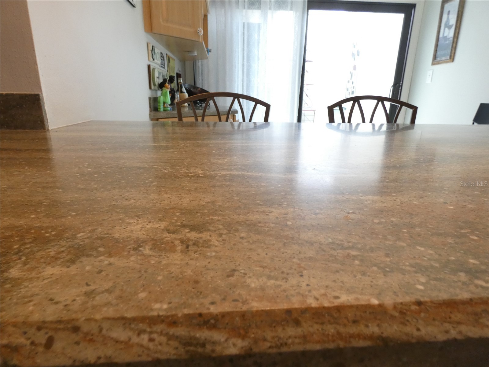 7917 Pinegrove Court #1 Sarasota FL 34238 A4700283 image16