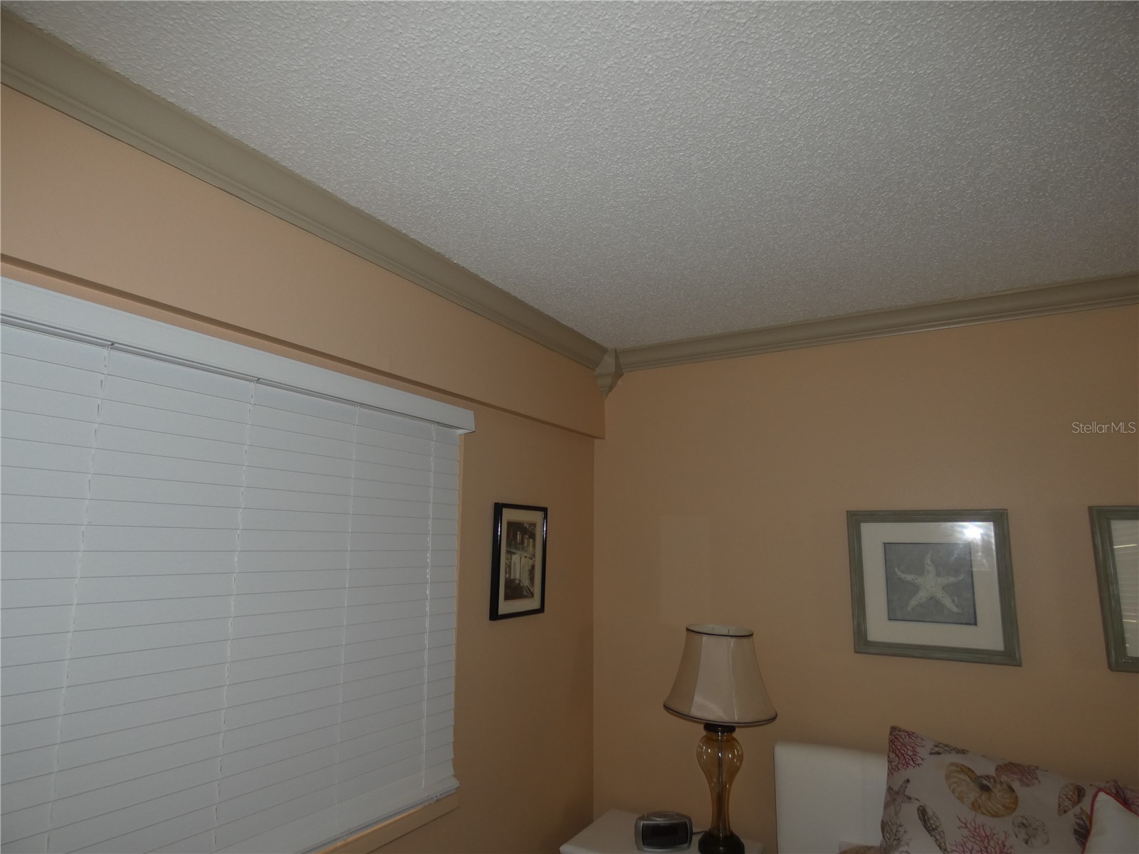 7917 Pinegrove Court #1 Sarasota FL 34238 A4700283 image33