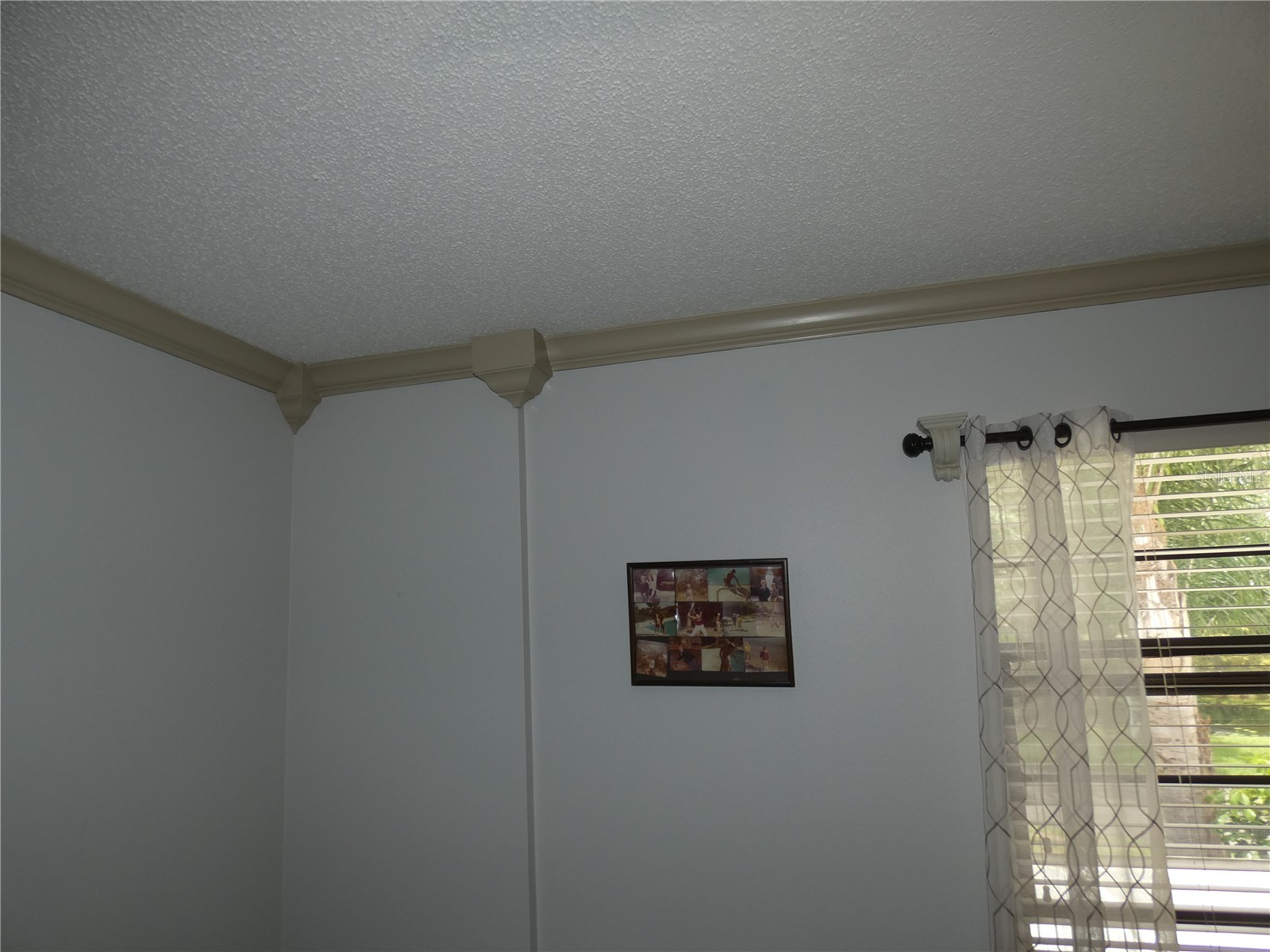 7917 Pinegrove Court #1 Sarasota FL 34238 A4700283 image44