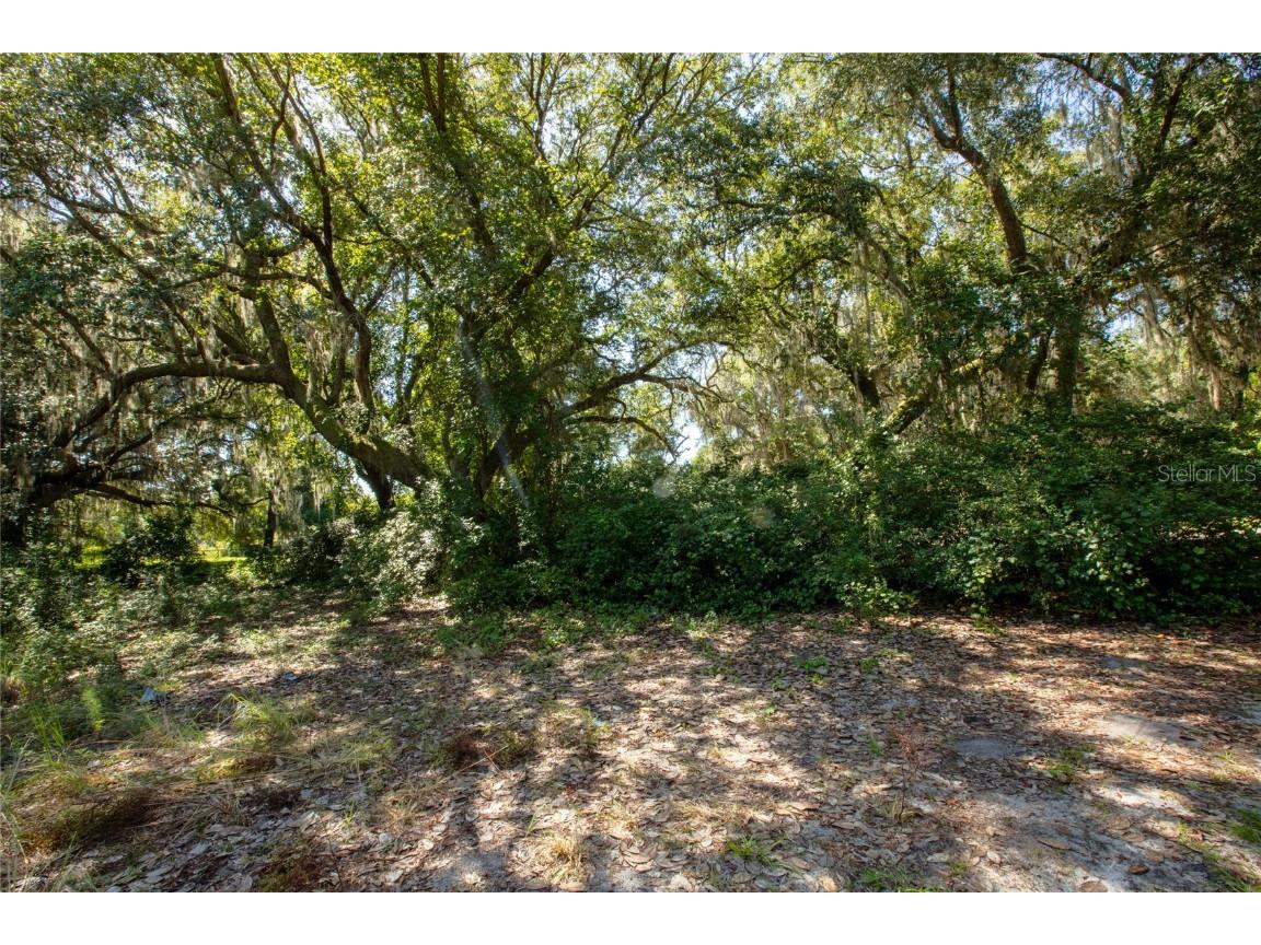 7918 Honeydew Circle Melrose FL 32666 GC523975 image1