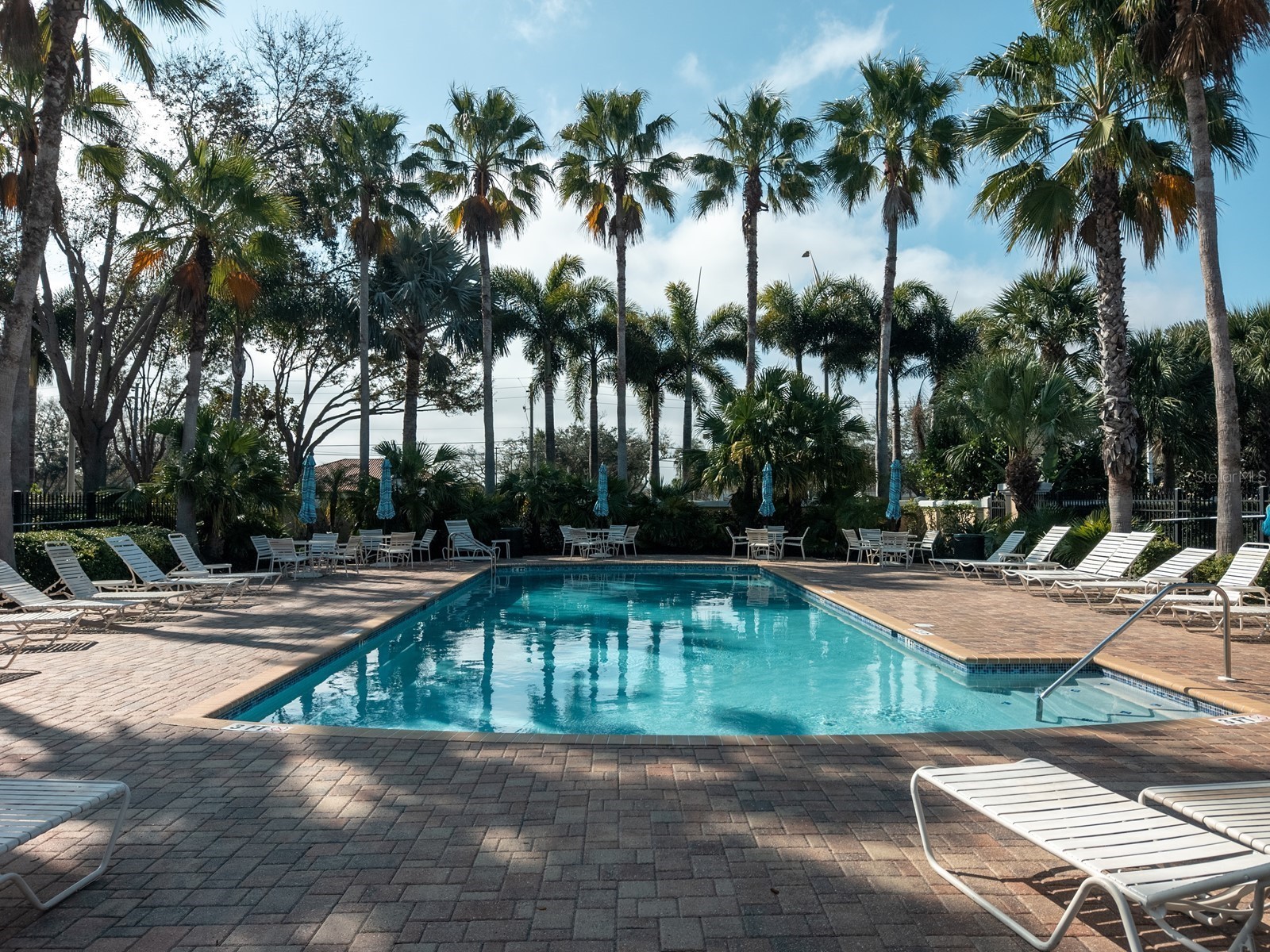 7919 Limestone Lane #13-204 Sarasota FL 34233 A4684105 image25