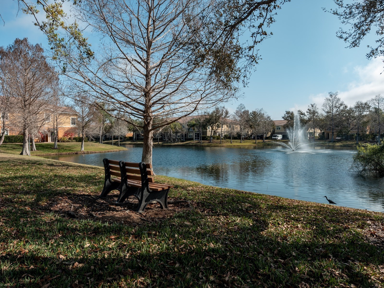 7919 Limestone Lane #13-204 Sarasota FL 34233 A4684105 image28