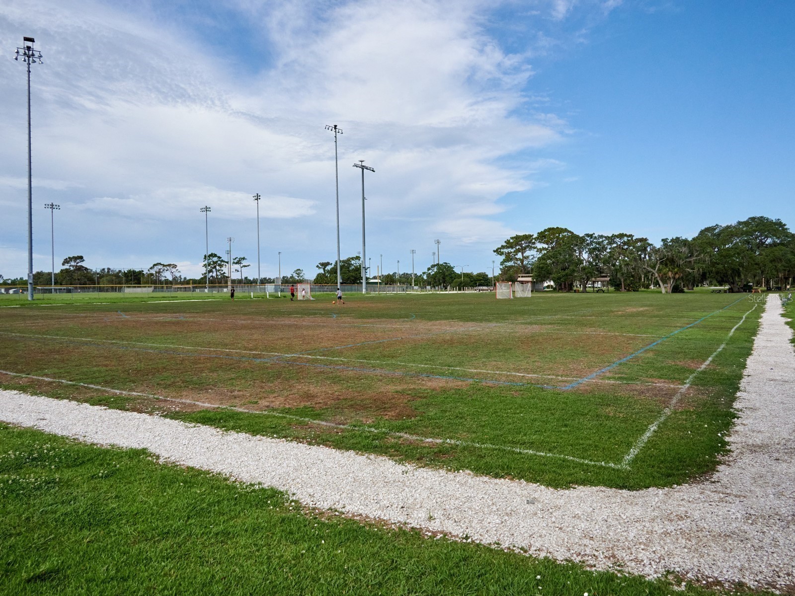 7919 Limestone Lane #13-204 Sarasota FL 34233 A4684105 image53