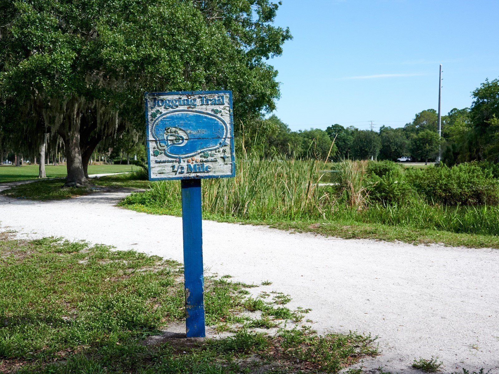 7919 Limestone Lane #13-204 Sarasota FL 34233 A4684105 image61