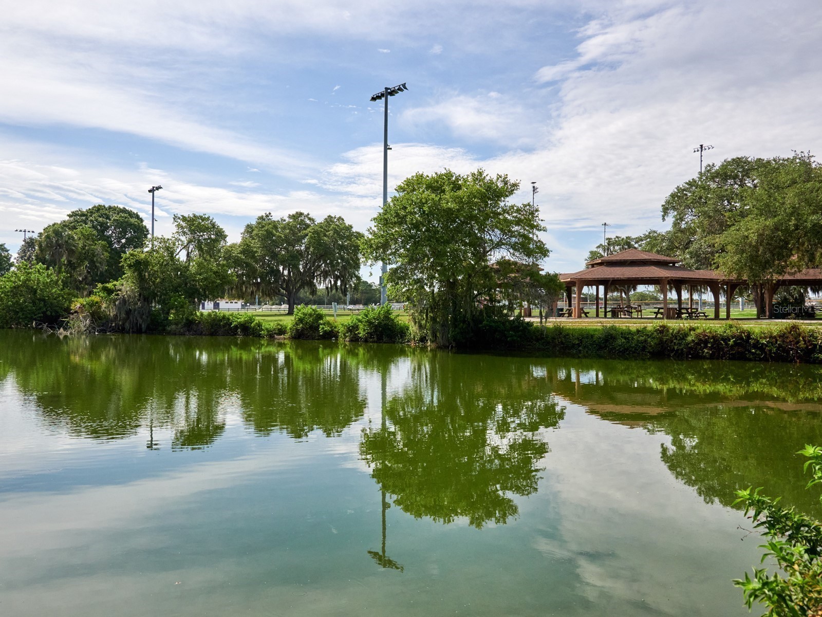 7919 Limestone Lane #13-204 Sarasota FL 34233 A4684105 image62