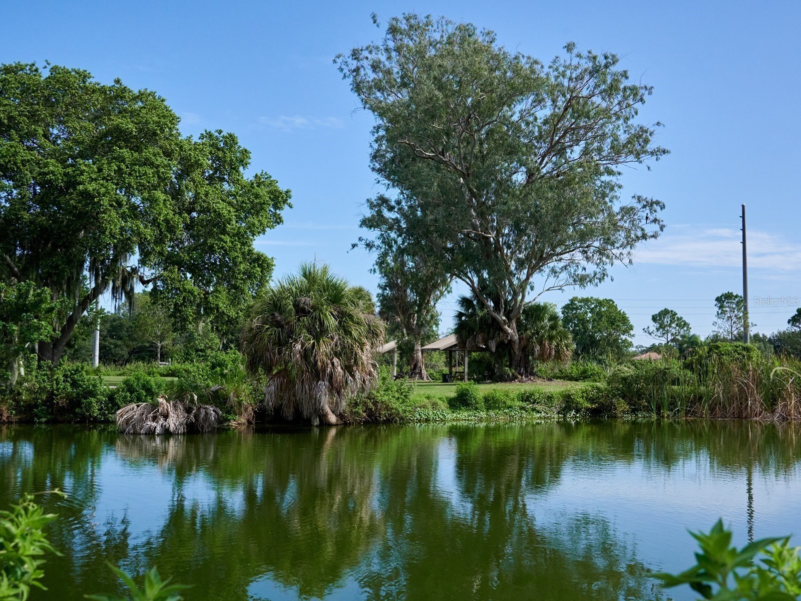 7919 Limestone Lane #13-204 Sarasota FL 34233 A4684105 image64