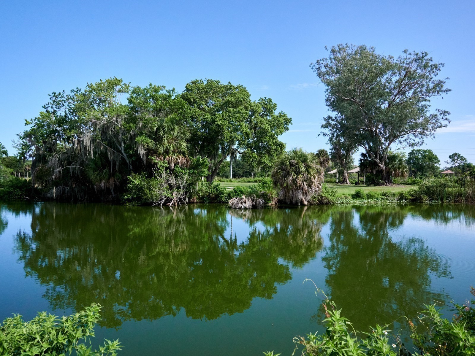 7919 Limestone Lane #13-204 Sarasota FL 34233 A4684105 image65