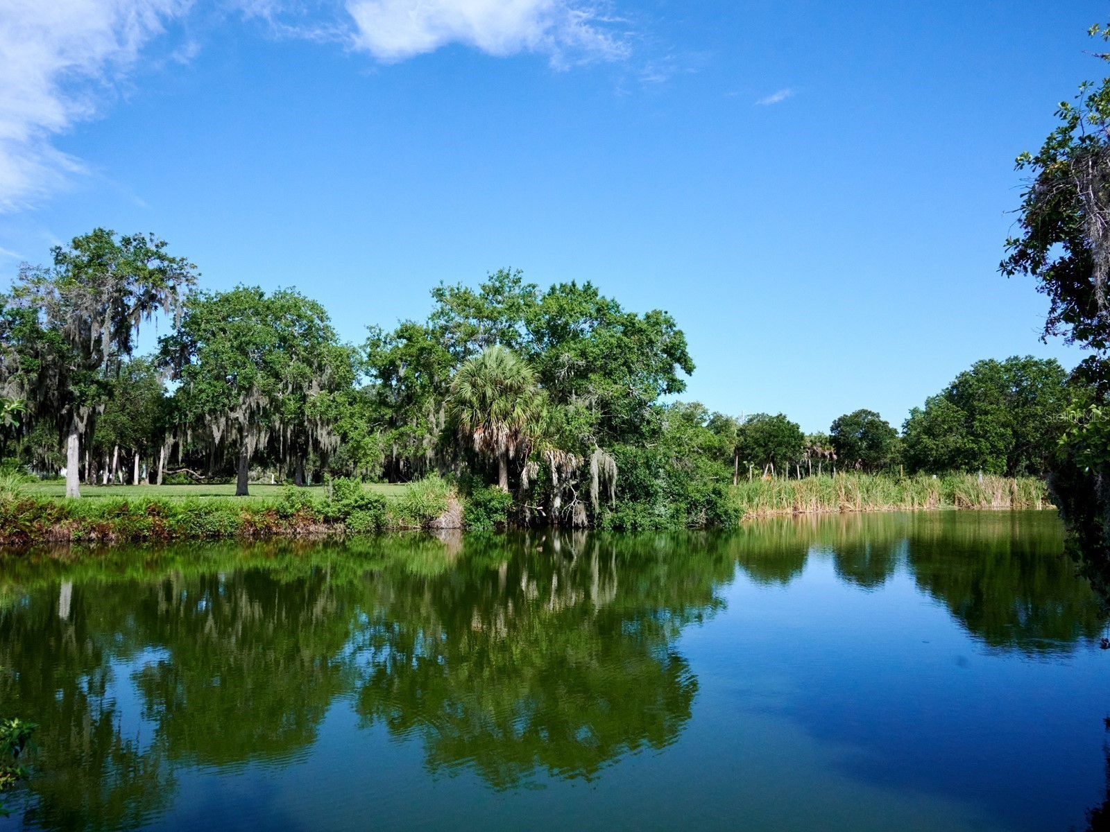 7919 Limestone Lane #13-204 Sarasota FL 34233 A4684105 image66