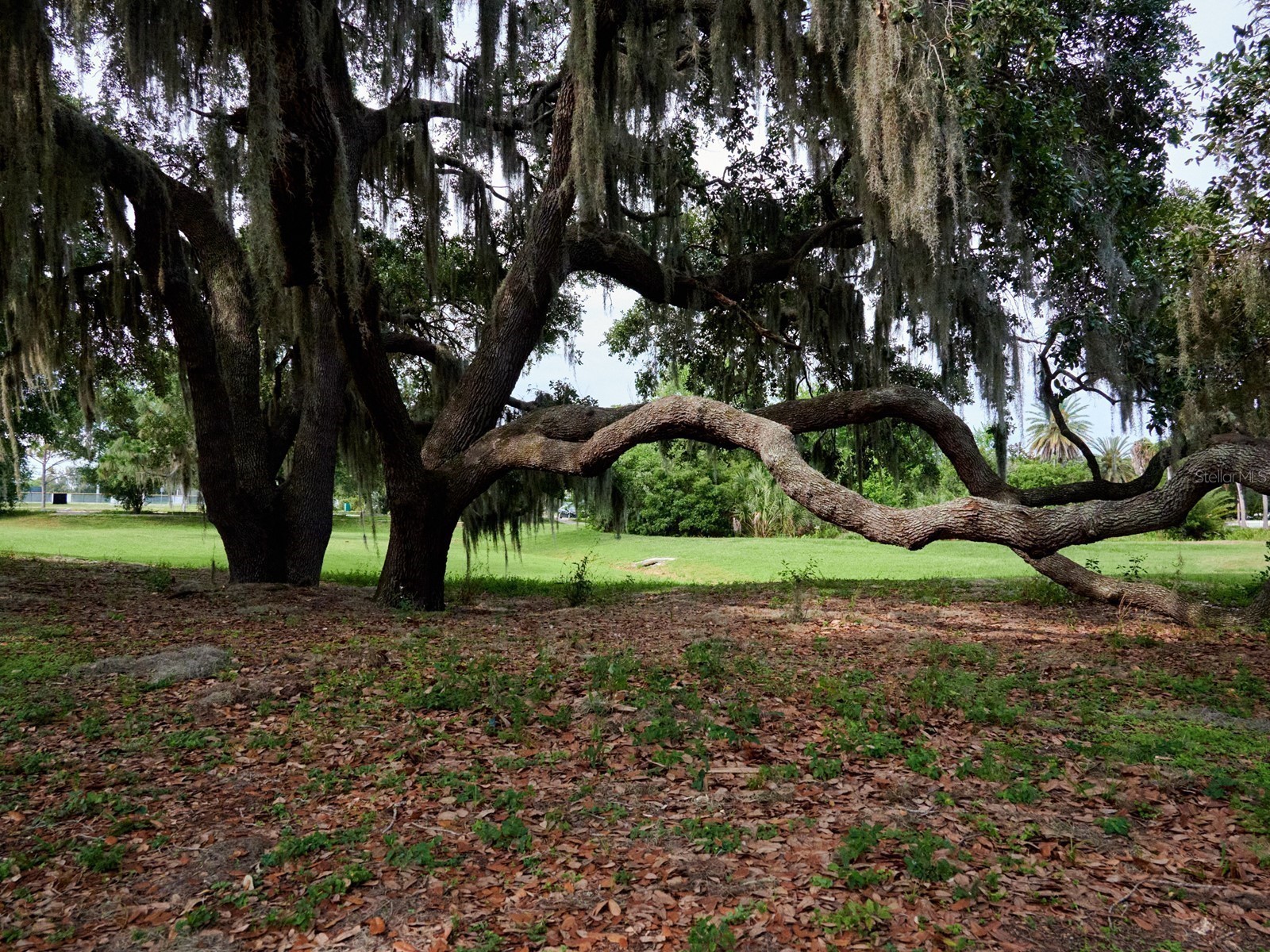 7919 Limestone Lane #13-204 Sarasota FL 34233 A4684105 image67