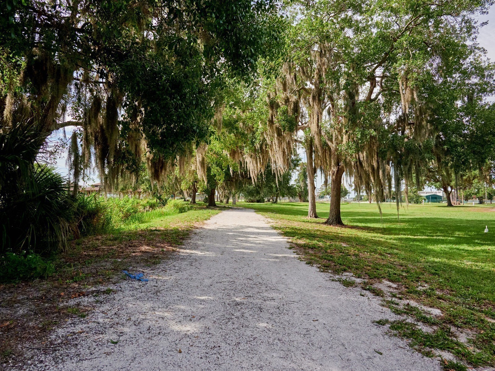 7919 Limestone Lane #13-204 Sarasota FL 34233 A4684105 image68