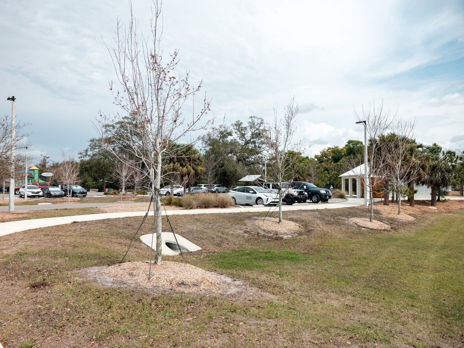 7919 Limestone Lane #13-204 Sarasota FL 34233 A4684105 image71